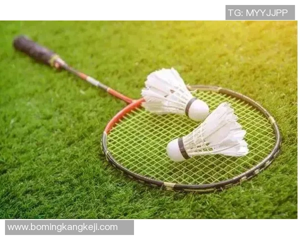 乒乓球装备选购指南：舒适耐用的球袜推荐与选购技巧分享