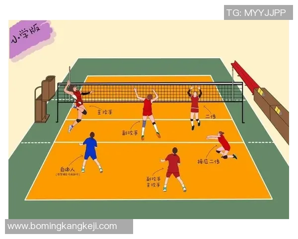 排球盛宴：深入解析杭州排球队的团队意识与战术魅力