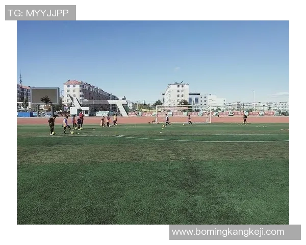 足球点歌：用音乐传递激情与梦想的绿茵场旋律之旅