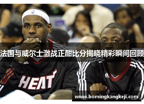 法国与威尔士激战正酣比分揭晓精彩瞬间回顾